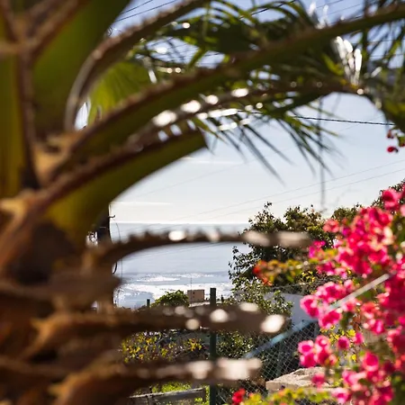 Home2book Charming Garden House & Bbq Villa