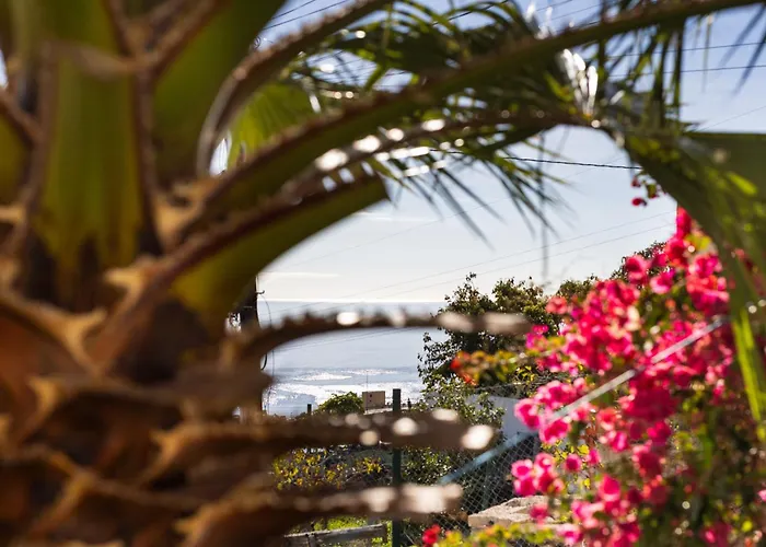 Home2book Charming Garden House & Bbq Villa